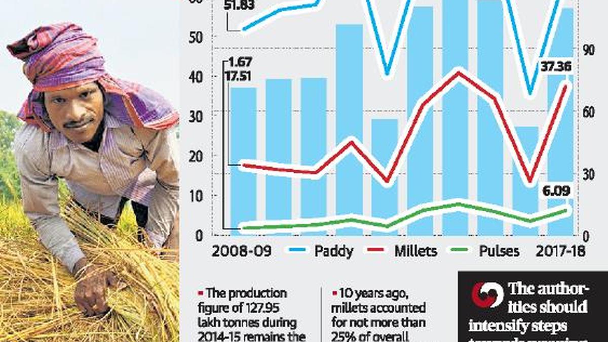 Foodgrain production rebounds to 110 lakh tonnes The Hindu